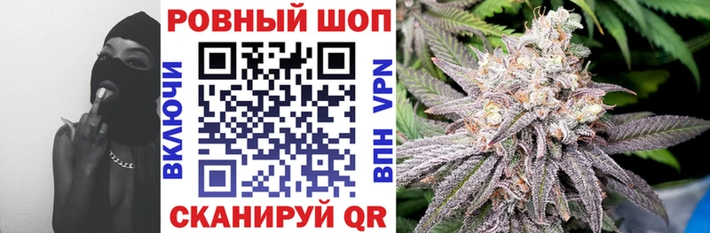 Сколько стоит Новая Ладога ГАШ Марихуана Cocaine АМФ Меф мяу мяу