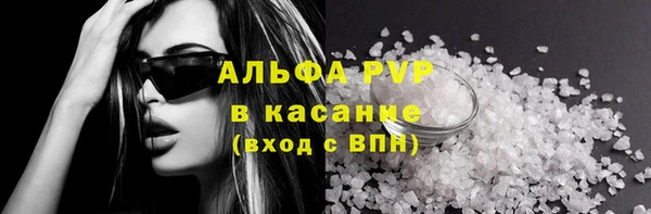 apvp Алзамай